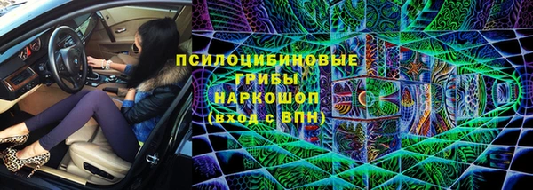 стафф Осинники