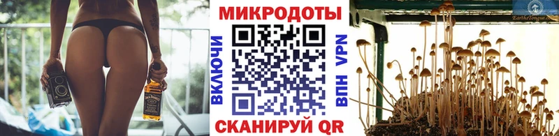 Галлюциногенные грибы MAGIC MUSHROOMS  Магас 